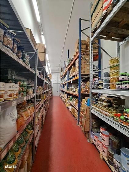 Afumati-E85-Hala pt cash&carry-30 locuri parcare-vad-parcare - 3
