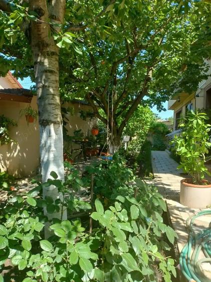 Casă individuală cu 5 camere cu Teren 400 Mp în Central