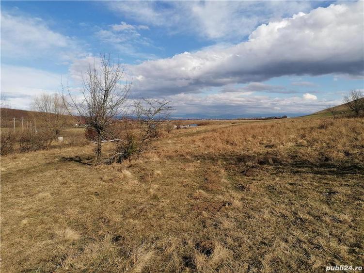 Teren de 3800 mp, în Crizbav