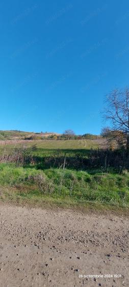 Teren de 2500 mp, în Muntenii de Sus