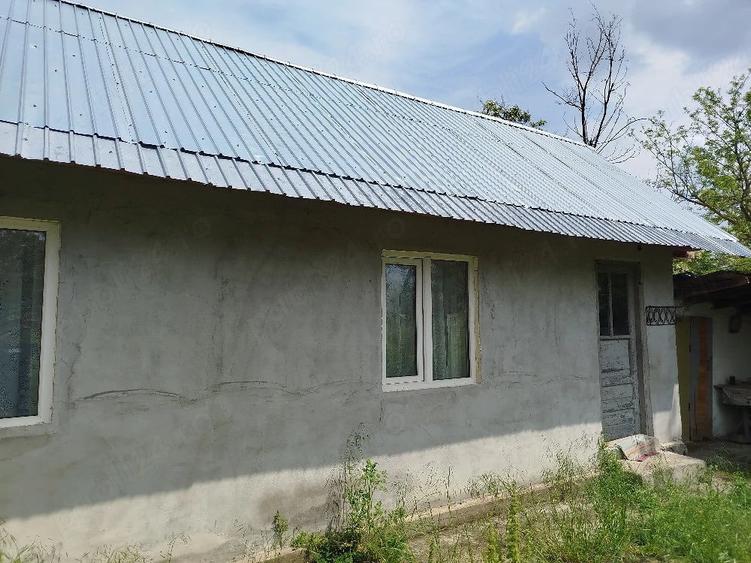 Casa buna si teren Malu Rosu Arma?e?ti jud. Ialomi?a - 6