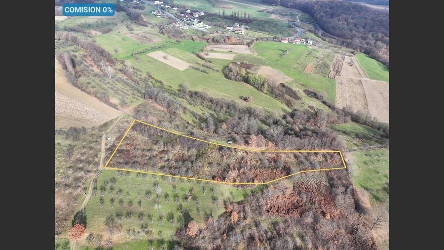 Teren Construcții intravilan de 5578 mp, în Groși