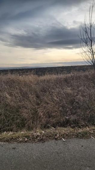 Teren agricol extravilan de 2000 mp, în Tureni