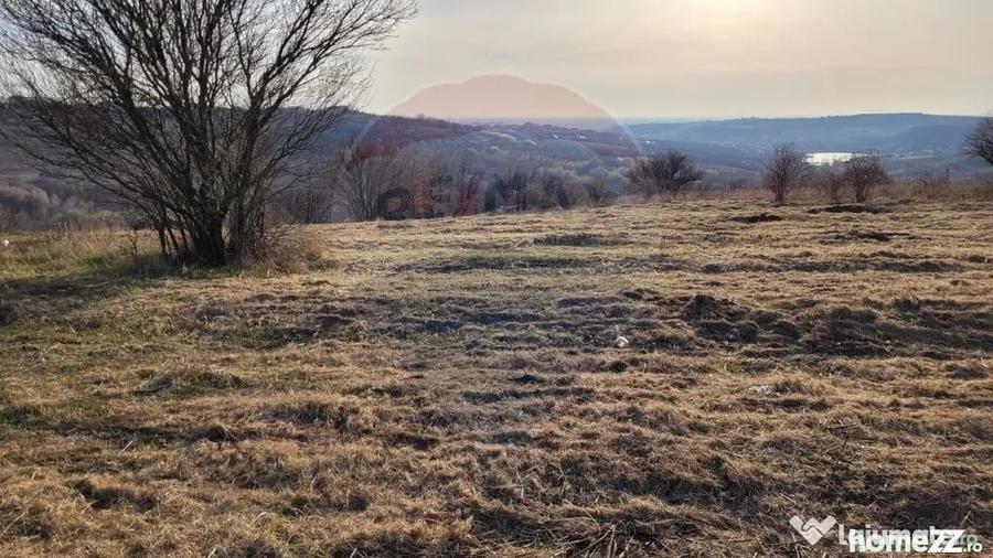 Teren în Paleu