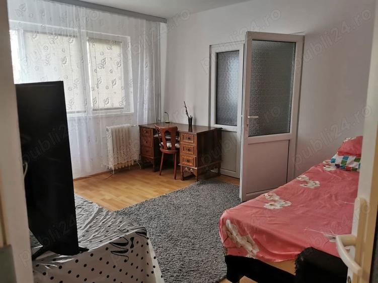 Apartament cu 2 camere nedecomandat în Șagului