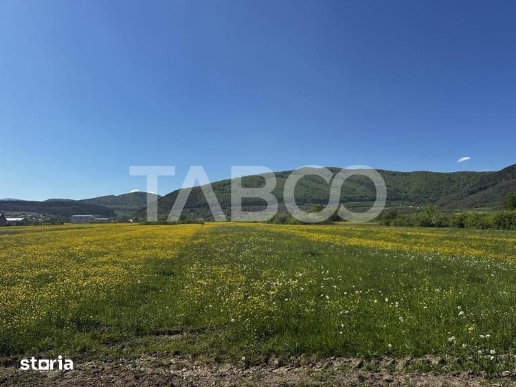 Teren de 3000 mp, în Poplaca