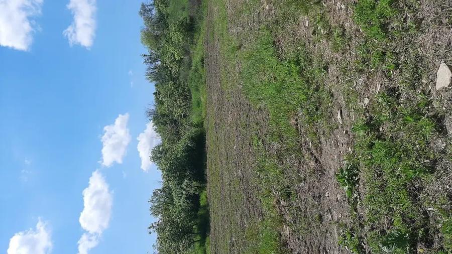 Teren de 7000 mp, în Poșta (Topliceni)