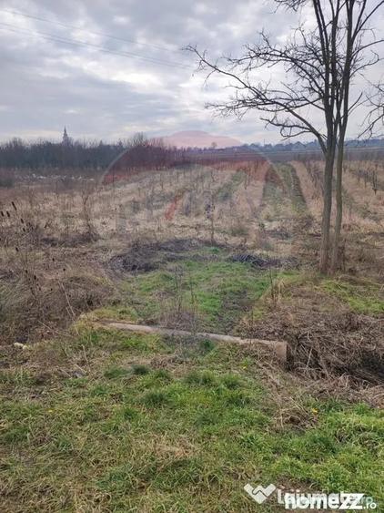 Teren de 2341 mp, în Uileacu de Munte