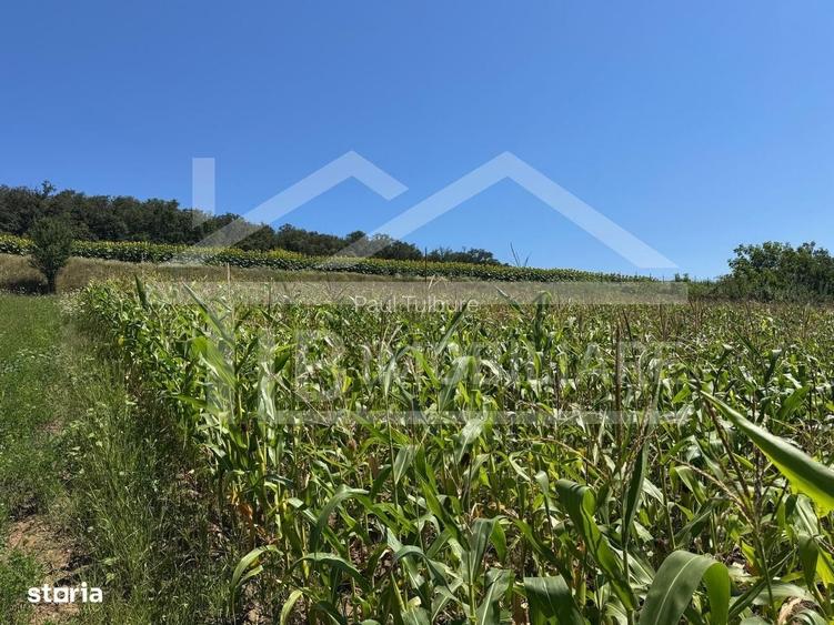Teren, 1734mp, intravilan, zona Remetea