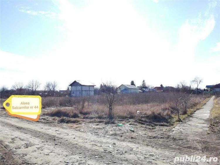 Spațiu comercial, în Buciumeni