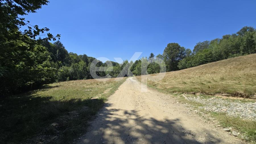 Teren agricol extravilan de 36200 mp, în Poiana Mărului