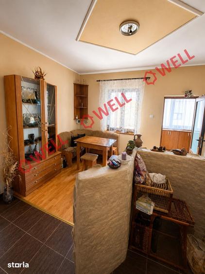 Casa familiala de vanzare in Bre?cu, la drumul principal! - 17