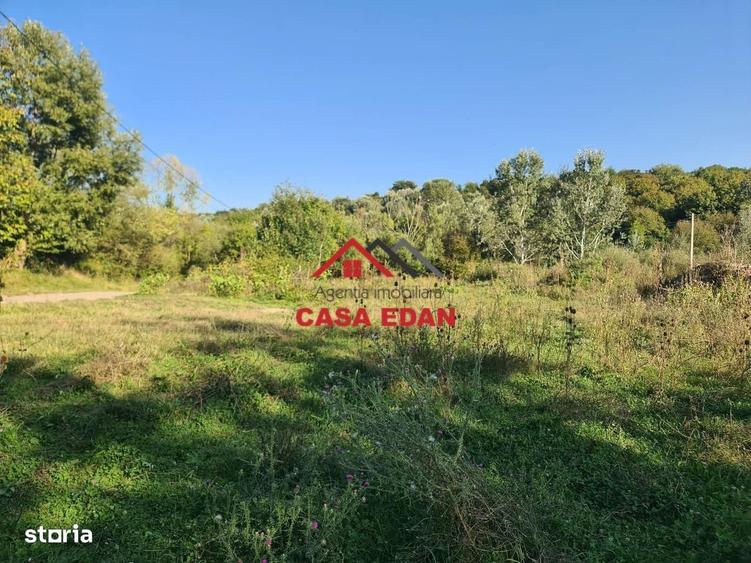 Teren intravilan in Cornu (Ph)--1490 mp--29e - 14