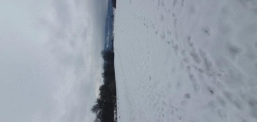 Teren de 3200 mp, în Capu Câmpului