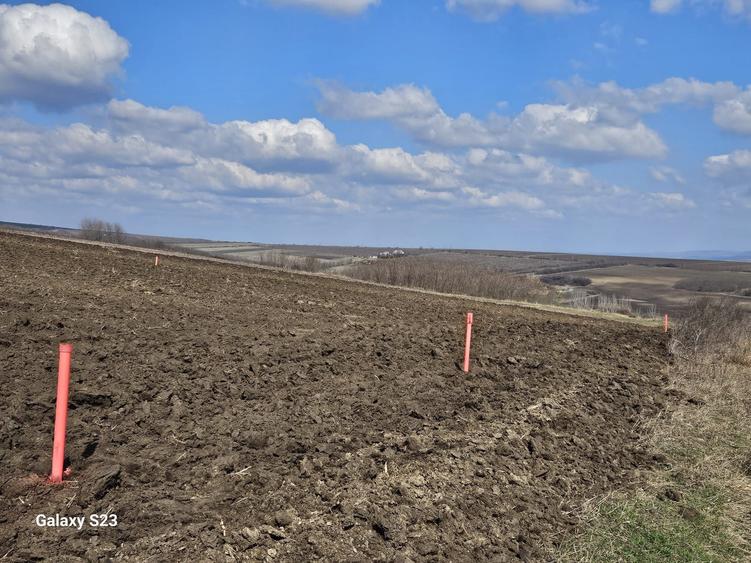 Teren de 800 mp, în Moara Grecilor