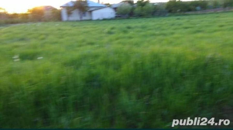 Teren în Albota