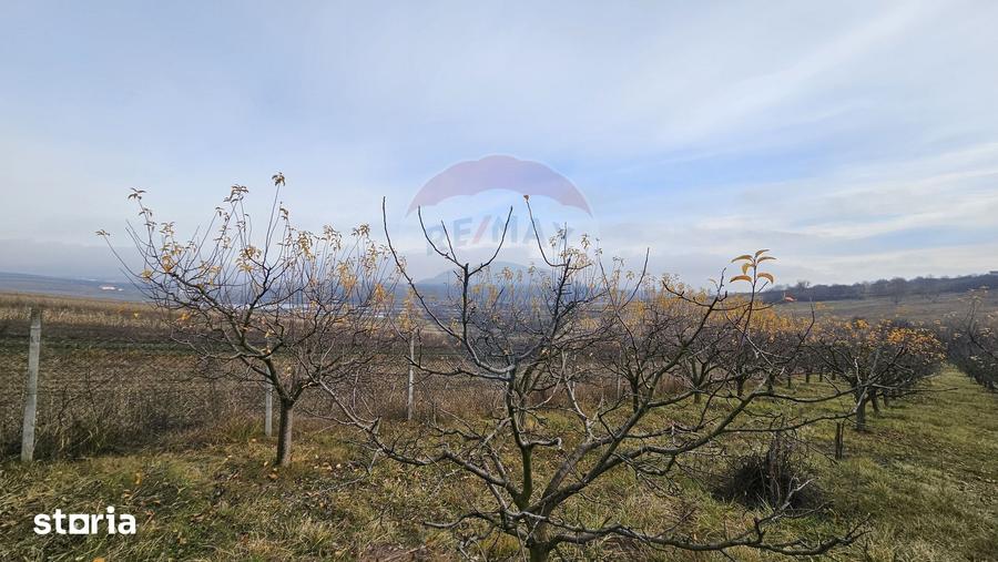 Teren de 10791 mp, în Fălticeni