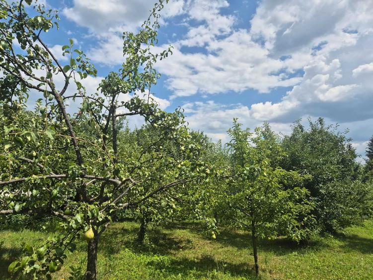 Casă cu 4 camere în Breaza de Sus