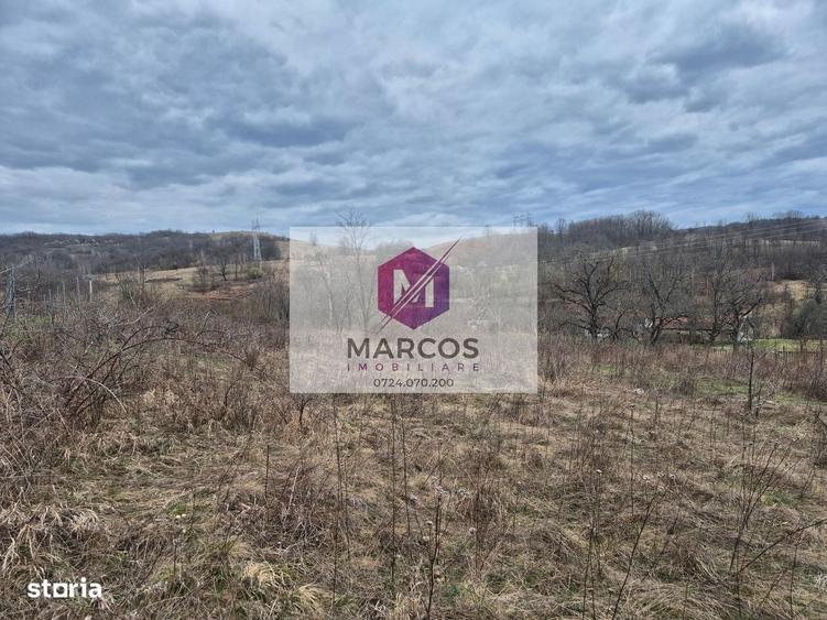 Spațiu comercial, în Iabalcea