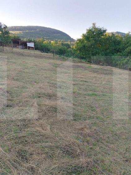 Oportunitate !Teren intravilan 800 mp cu autorizatie construire , Ciurila ! - 3