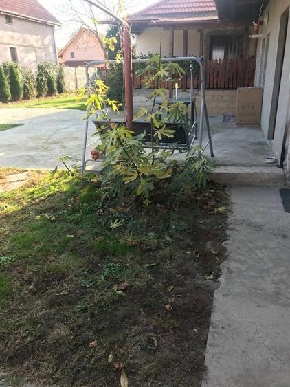 Casă cu 4 camere cu Teren 1000 Mp în Central
