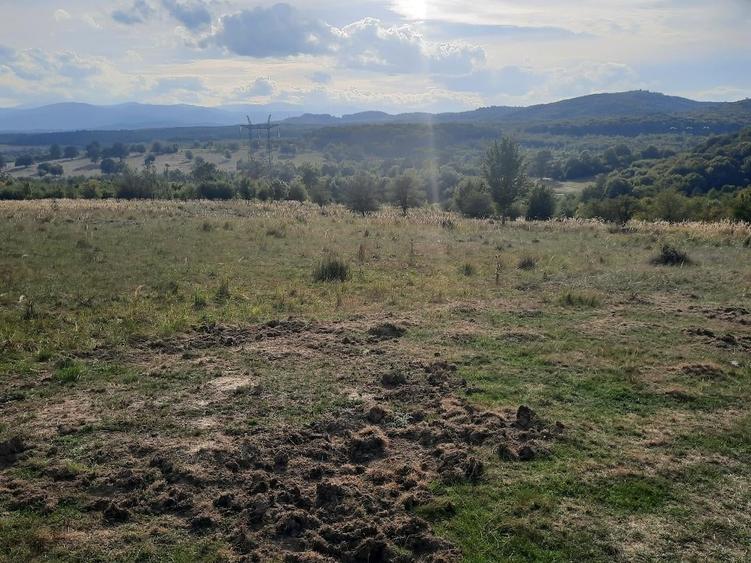 Teren Construcții extravilan de 10756 mp, în Dumbrăvița
