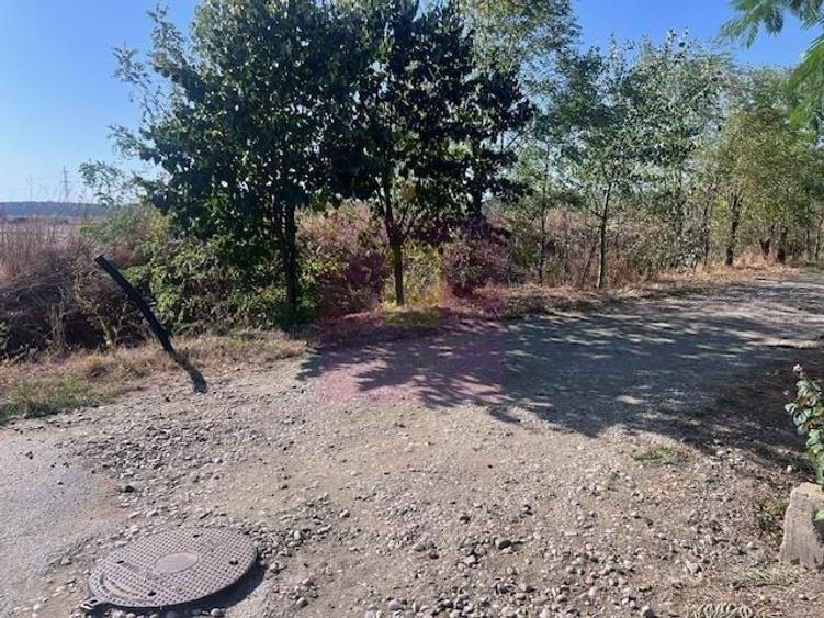 Teren Construcții intravilan de 6200 mp, în Cornetu