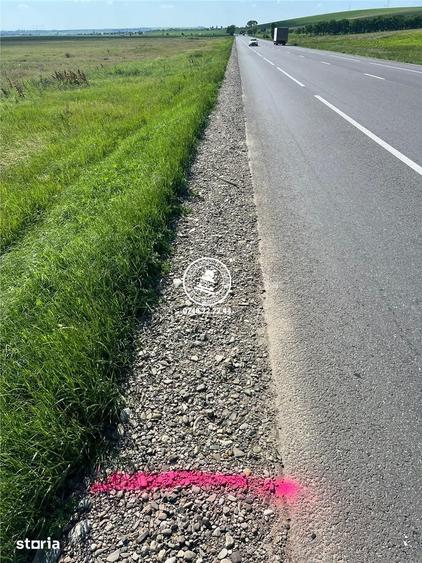 Teren de 29300 mp, în Dumești