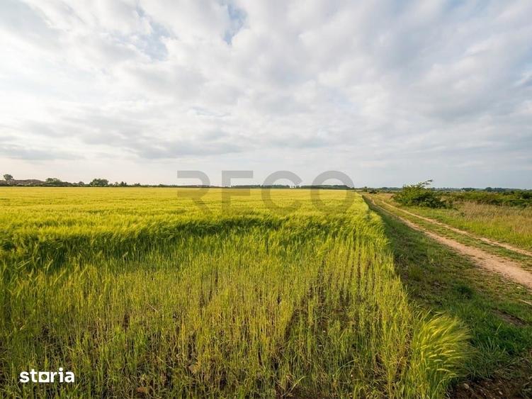 Teren de 6400 mp, în Episcopia Bihorului