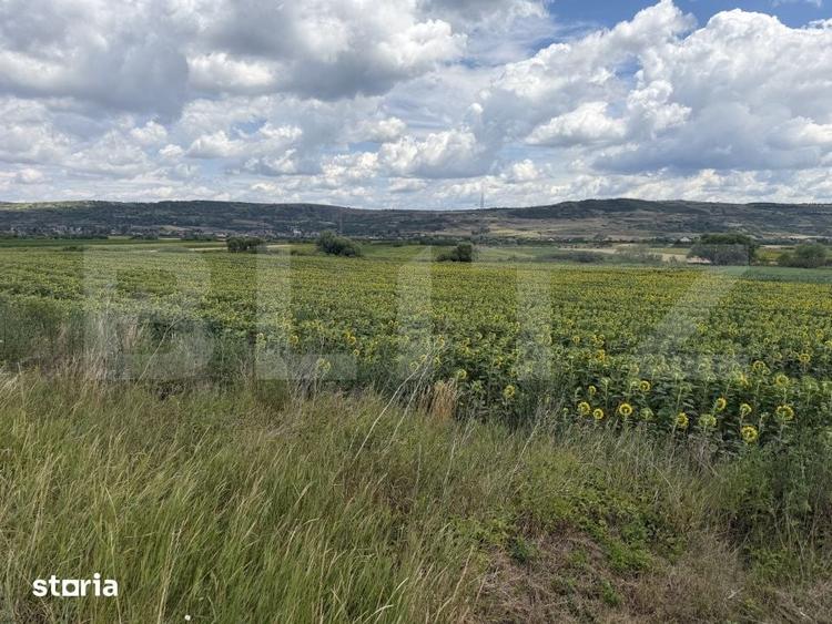 Teren de 11500 mp, în Bobota