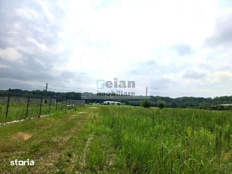 Teren de 1100 mp, în Ciolpani