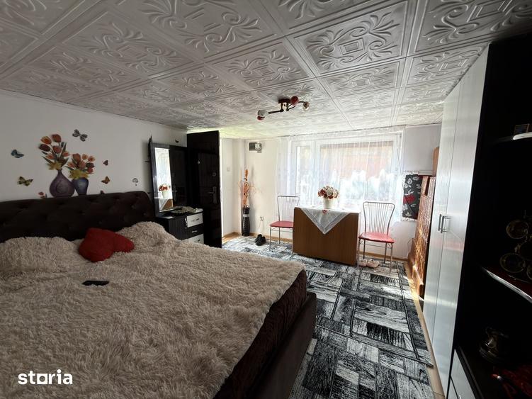 Casă cu 5 camere cu Teren 5000 Mp în Mihai Eminescu