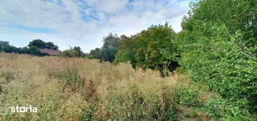 Teren intravilan 6000 m2 in zona industriala DN1A Sacele - 3