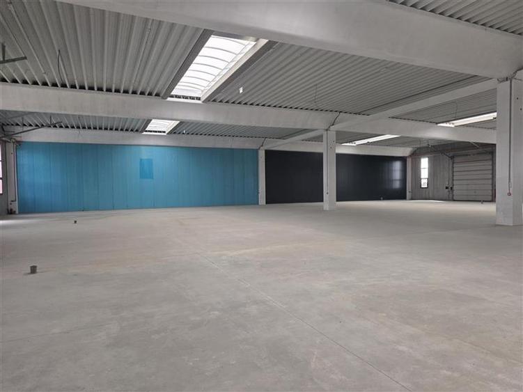 Vanzare depozit/spatiu industrial/hala Chitila - Rudeni, ILFOV - 10