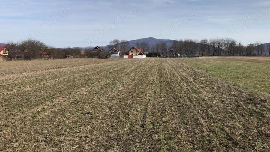 Teren de 3600 mp, în Prejmer