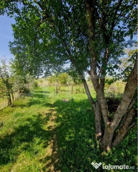 Casă cu 2 camere cu Teren 1600 Mp în Uriu