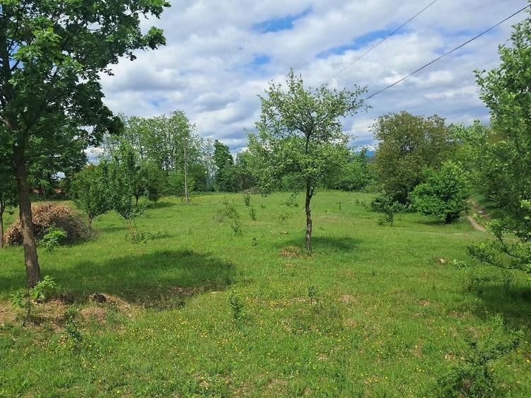 Teren de 2800 mp, în Periferie