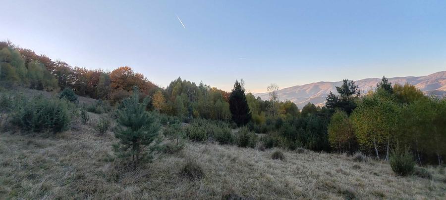 Casă în Blăjeni
