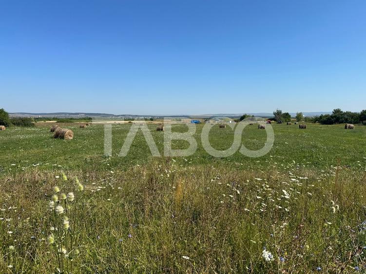 Teren Construcții intravilan de 1800 mp, în Poplaca