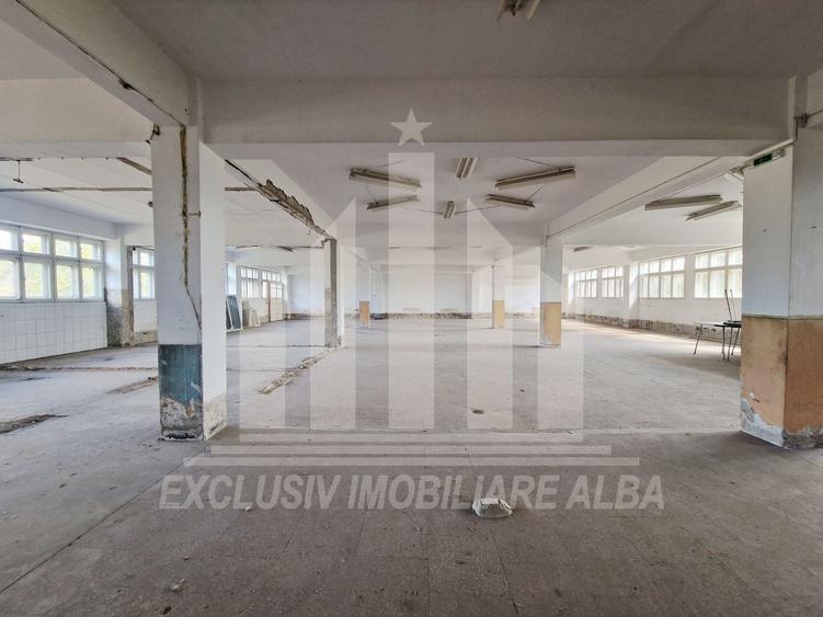 Spațiu industrial, de 1,100 mp, în Bărăbanț