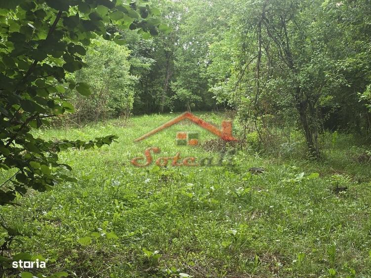 Teren intravilan de vanzare in Cornu de Sus 1.363 mp fara inclinatie - 5