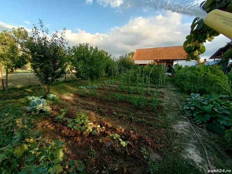 Casă cu Teren 1060 Mp în Beriu