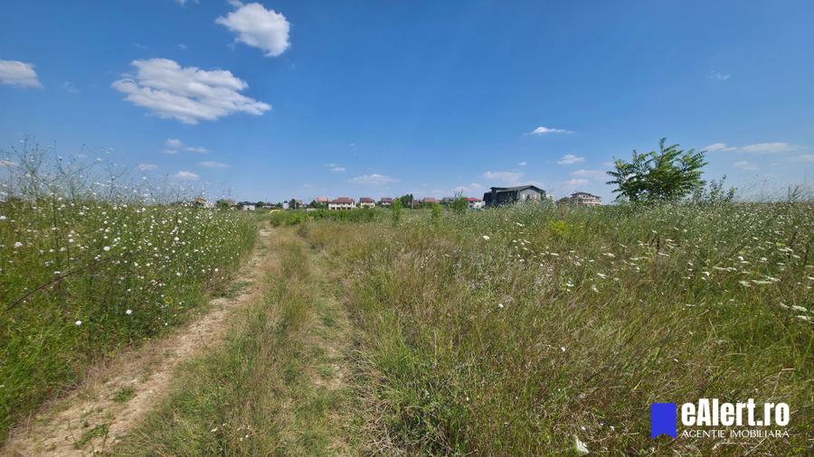 Teren Construcții intravilan de 855 mp, în Mogoșoaia