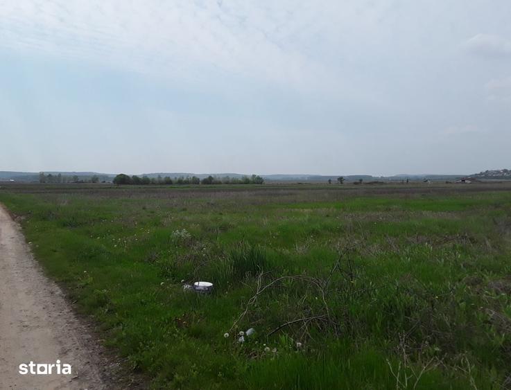 Teren de 7985 mp, în Coțofenii din Față