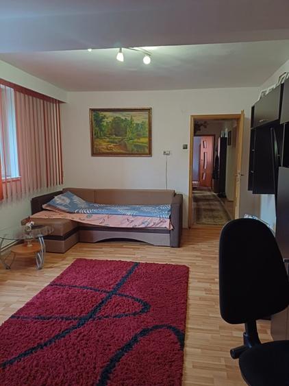 Apartament cu 2 camere decomandat, mobilat în Mănăștur — fotografia 2