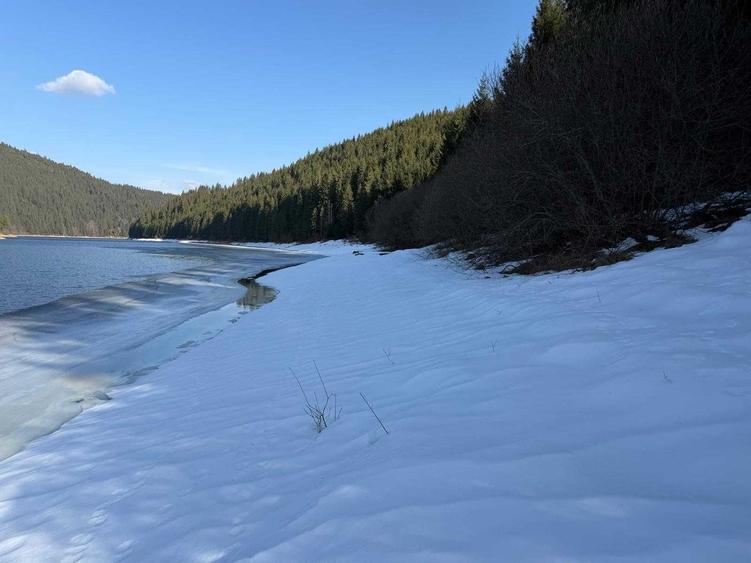 Teren de 10146 mp, în Giurcuța de Sus