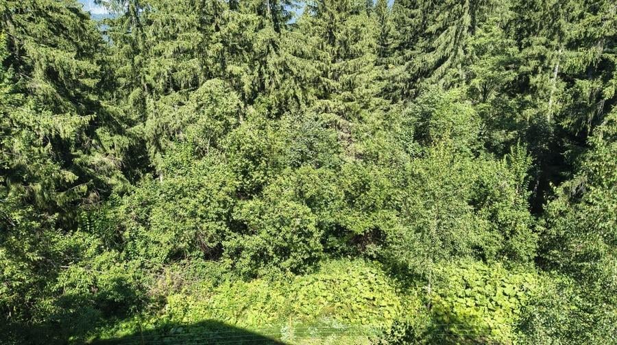 Apartament cu 2 camere decomandat, mobilat în Cioplea