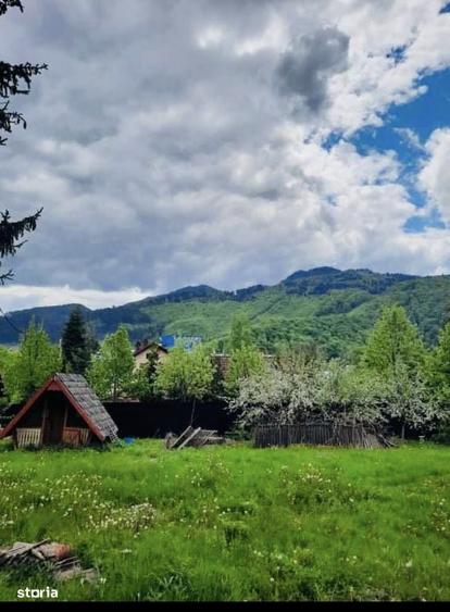 Teren intravilan 800 mp Darste Brasov - 7
