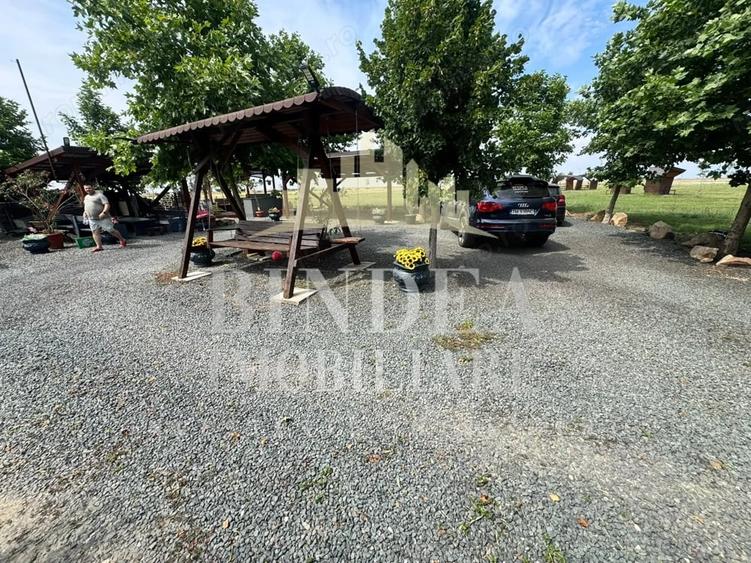 Casă cu 3 camere cu Teren 700 Mp în Cerneteaz