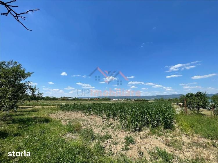 Casă cu 5 camere cu Teren 6770 Mp în Măgești
